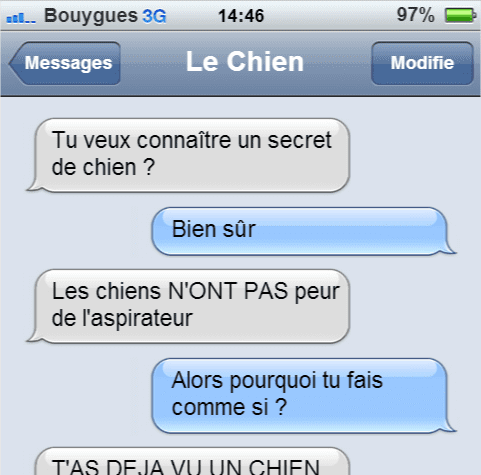 chien memes