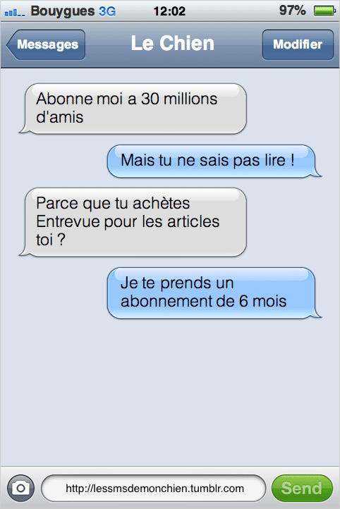 Quand c’est le chien qui prend les rênes