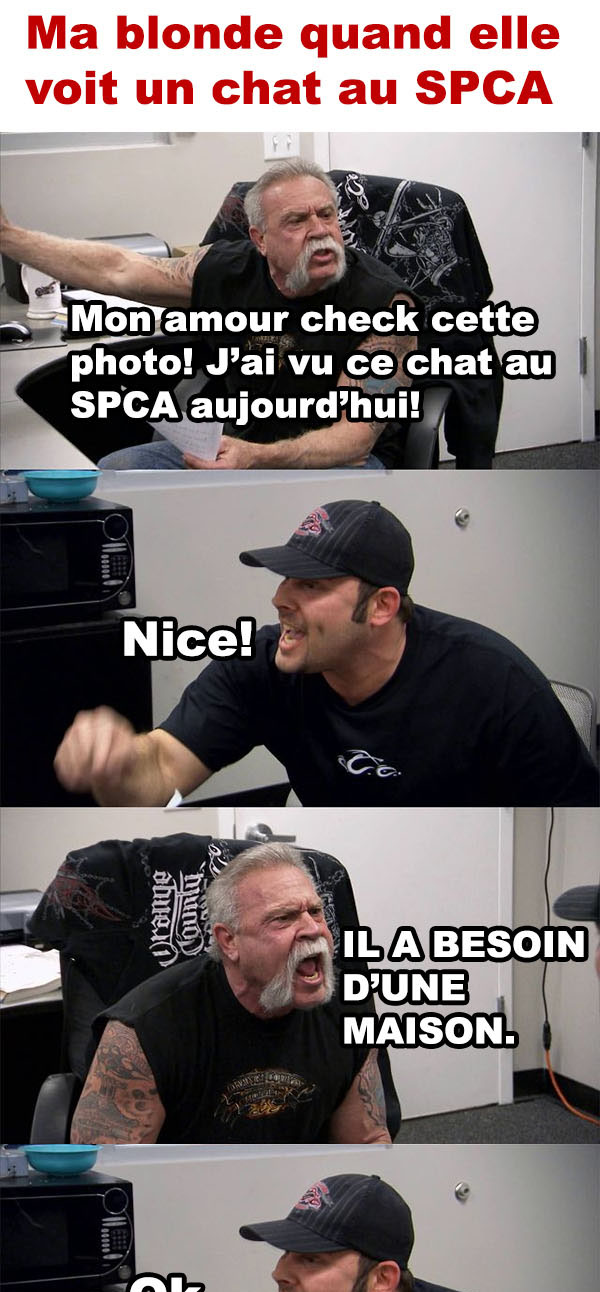 amour