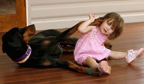 Un chien saisit le bébé par sa couche, sa mère découvre la raison surprenante de ce geste