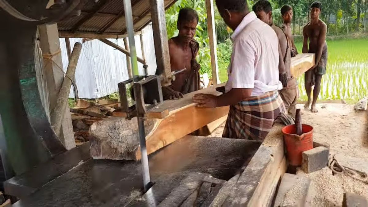 Durabilité du bois de manguier