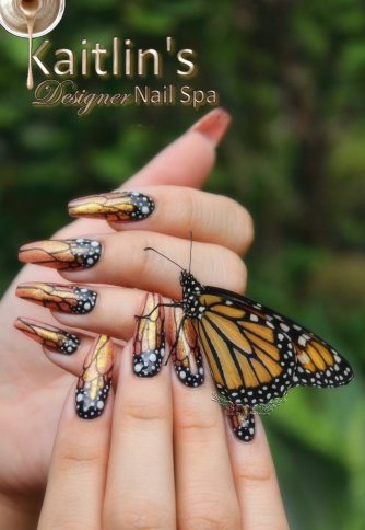 Ongles d'automne du papillon monarque