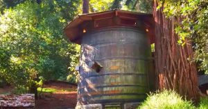 Une famille transforme un tonneau de vin à deux étages en une charmante maison nichée dans les séquoias.