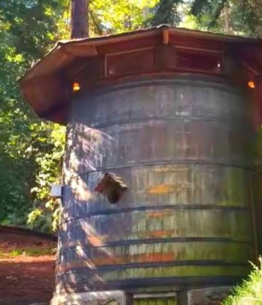 Une famille transforme un tonneau de vin à deux étages en une charmante maison nichée dans les séquoias.