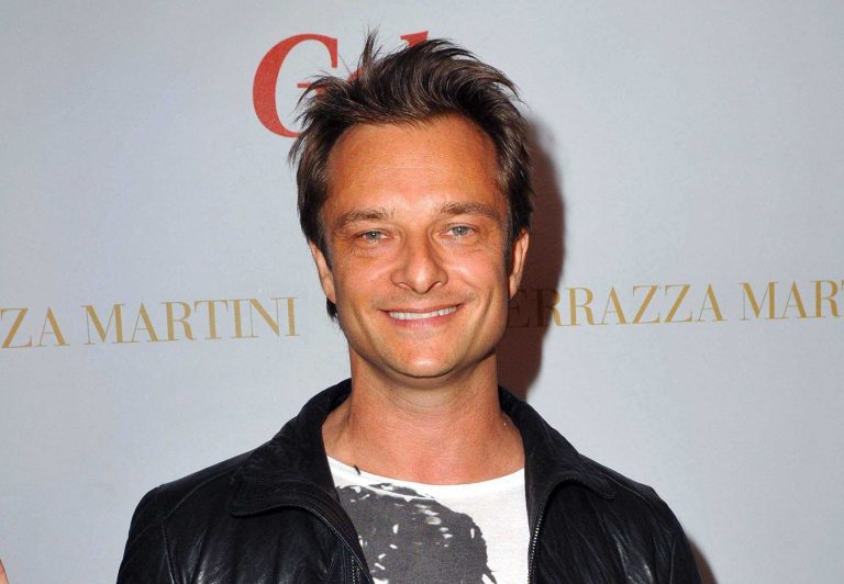 david-hallyday