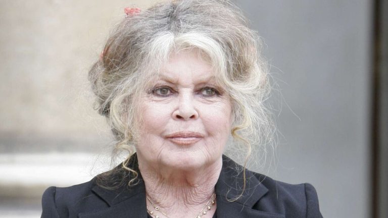 inquietude-autour-de-brigitte-bardot-l-actrice-a-ete-hospitalisee-en-soins-intensifs