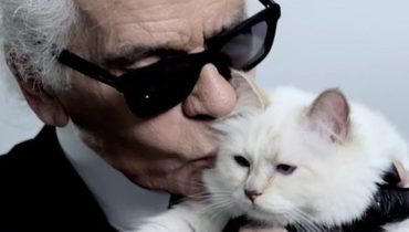« Je t’aime pour toujours » : l’hommage de Choupette à Karl Lagerfeld pour la fête des pères
