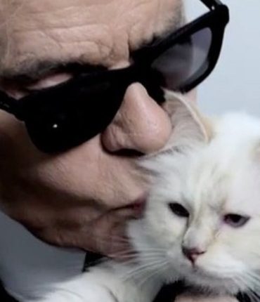 « Je t&rsquo;aime pour toujours » : l&rsquo;hommage de Choupette à Karl Lagerfeld pour la fête des pères