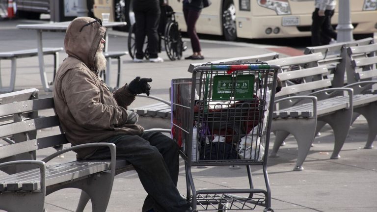 seine-saint-denis-dans-chariot-une-effrayante-tentative-kidnapping-dejouee-justesse