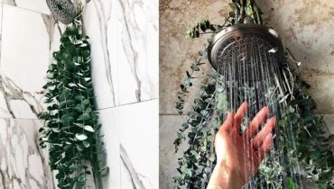 DIY: 3 étapes pour suspendre un bouquet d’eucalyptus dans sa douche