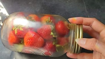 Préserver les Fraises dans des Bocaux en Verre : Une Technique Étonnante