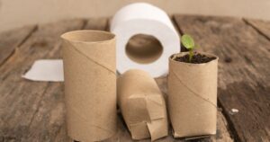 Une plante insoupçonnée comme future alternative au papier toilette