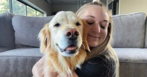 Un fidèle canin fait 64 kilomètres pour retrouver son ancienne famille après l’abandon