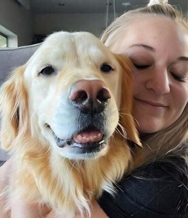 Un fidèle canin fait 64 kilomètres pour retrouver son ancienne famille après l&rsquo;abandon