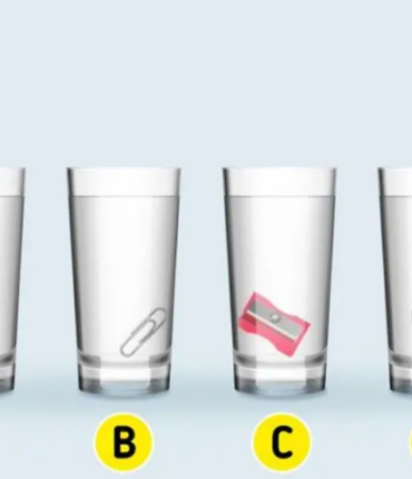 Quel verre contient le plus d’eau ? Une énigme que peu peuvent résoudre.