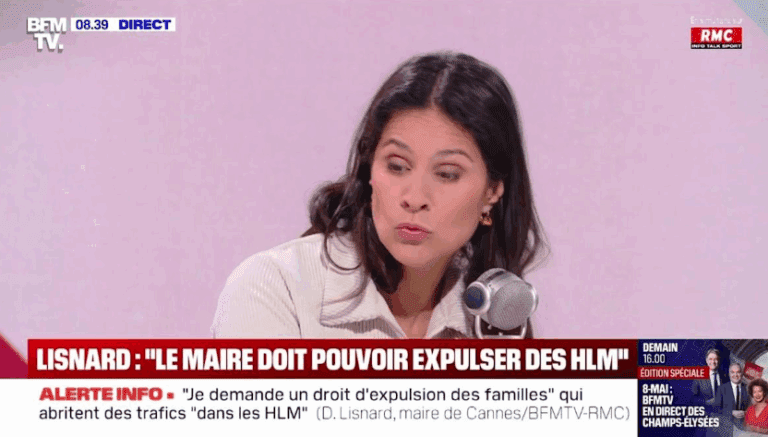 Capture d’écran 2025-05-08 004856
