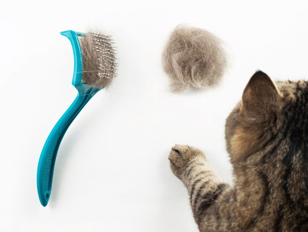 Les 11 astuces magiques
