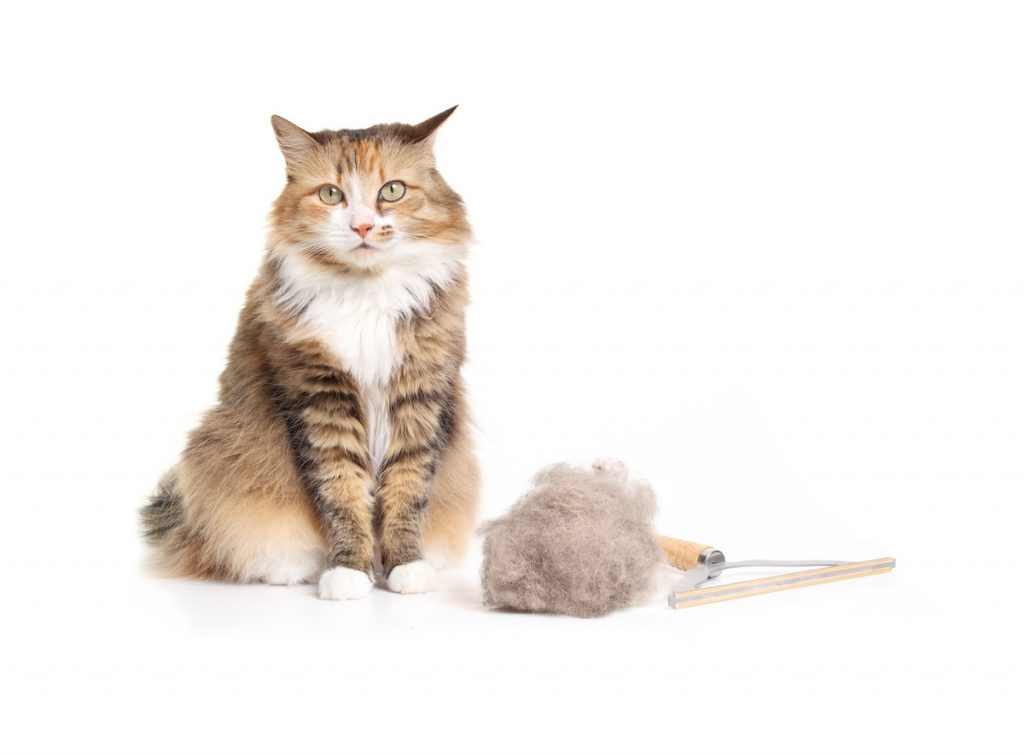 Les 11 astuces magiques