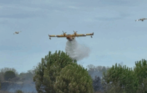 Cap d’Agde : la réserve du Bagnas et les environs du camp naturiste touchés par un incendie