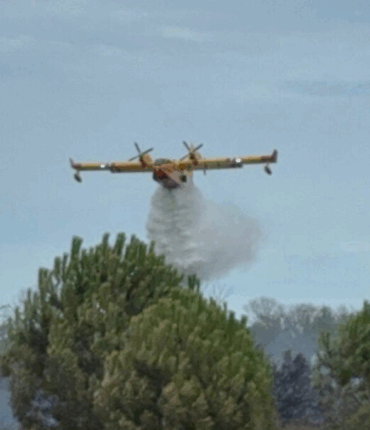 Cap d’Agde : la réserve du Bagnas et les environs du camp naturiste touchés par un incendie