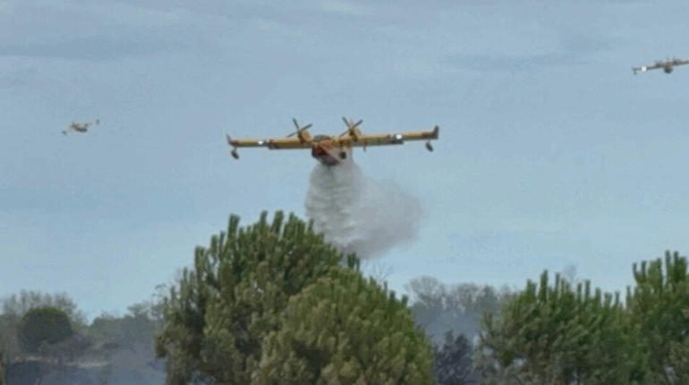 Cap d’Agde : la réserve du Bagnas et les environs du camp naturiste touchés par un incendie