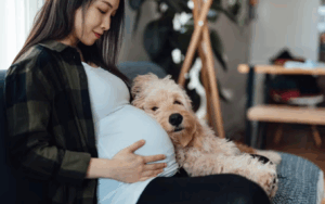 Elle réclame 600 € pour garder leur chien pendant l’accouchement : la condition surprenante de sa belle-fille !