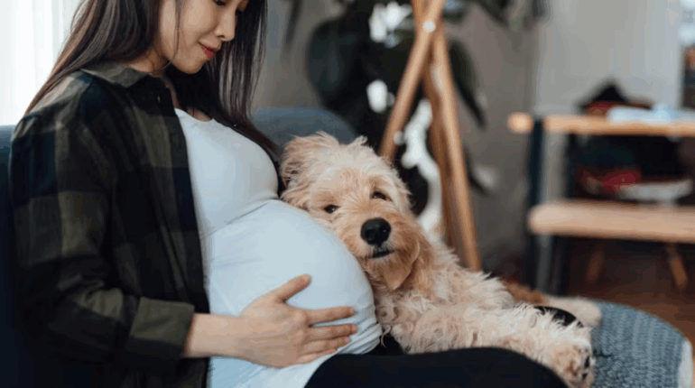 Elle réclame 600 € pour garder leur chien pendant l’accouchement : la condition surprenante de sa belle-fille !
