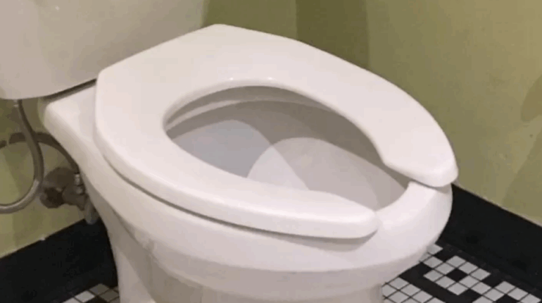 Pourquoi les toilettes pour femme ont un espace devant aux États-Unis ?