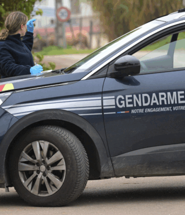 Jeune femme disparue dans les Côtes d’Armor : macabre découverte en pleine battue Jeune femme disparue dans les Côtes d’Armor : macabre découverte en pleine battue