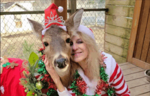 Une femme sauve un cerf après un accident de voiture, il la tue douze ans après