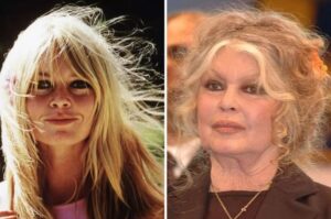 Brigitte Bardot décédée à 91 ans : causes, enfant, héritage, combats et réactions