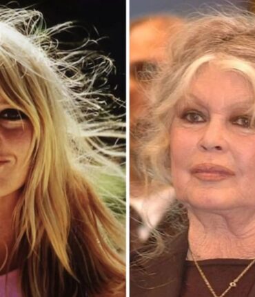 Brigitte Bardot décédée à 91 ans : causes, enfant, héritage, combats et réactions