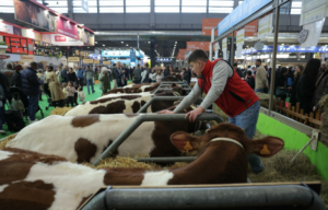 Salon de l’Agriculture sans vaches… une décision qui fait grincer des dents…