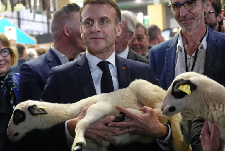 Capture d&rsquo;écran 2026-02-23 153842