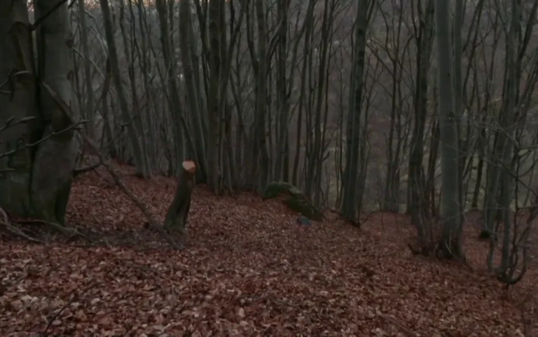 Capture d&rsquo;écran 2026-02-24 165653