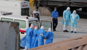 Epidémie d’hantavirus : vers un nouveau confinement en France après le Covid ?