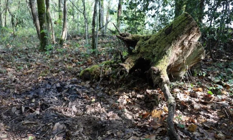 Un cadavre au pied d&rsquo;une falaise, (2)