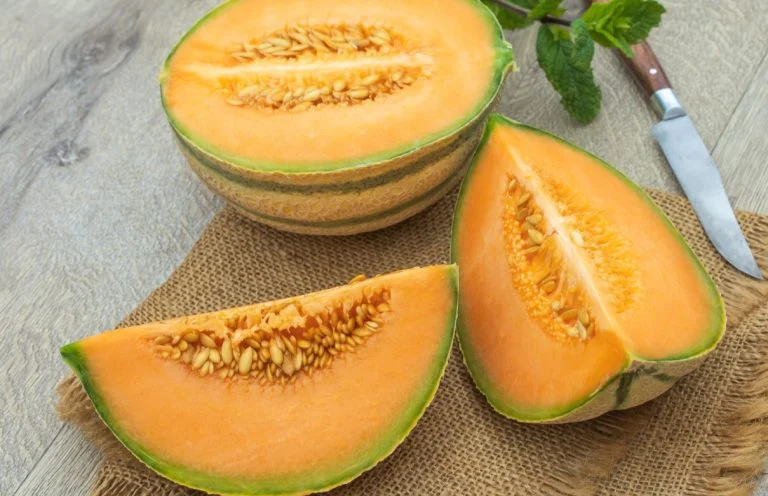 melons (2)
