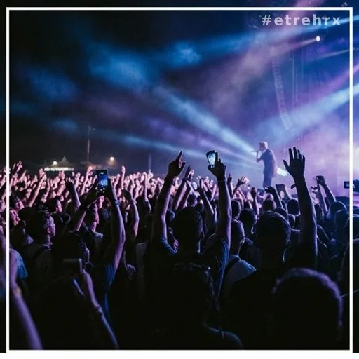 Foule anonyme lors d'un concert de festival en soirée