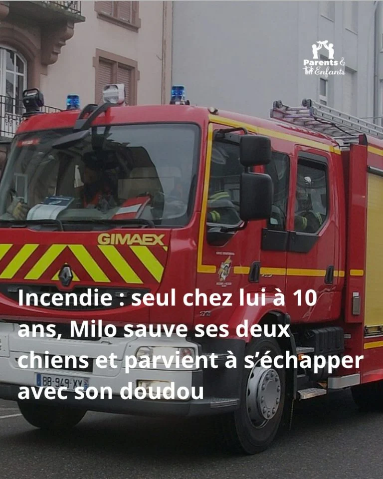 seul-a-10-ans-face-a-un-incendie-milo-sauve-ses-ch cover