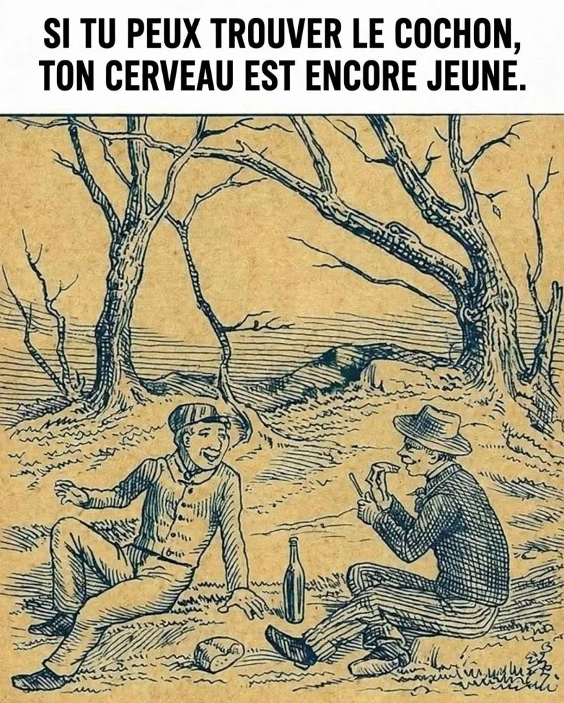Défi visuel: trouvez le cochon caché dans une scène de pique-nique cover