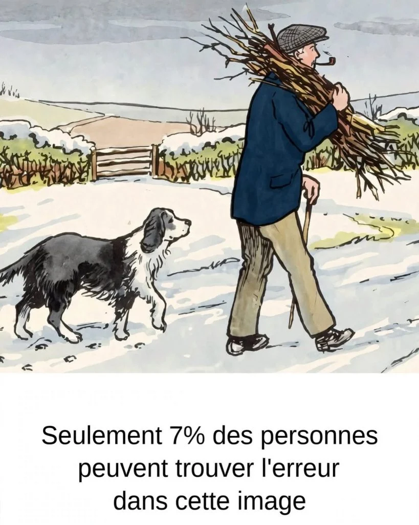 Énigme visuelle: l'erreur cachée dans cette scène de neige cover