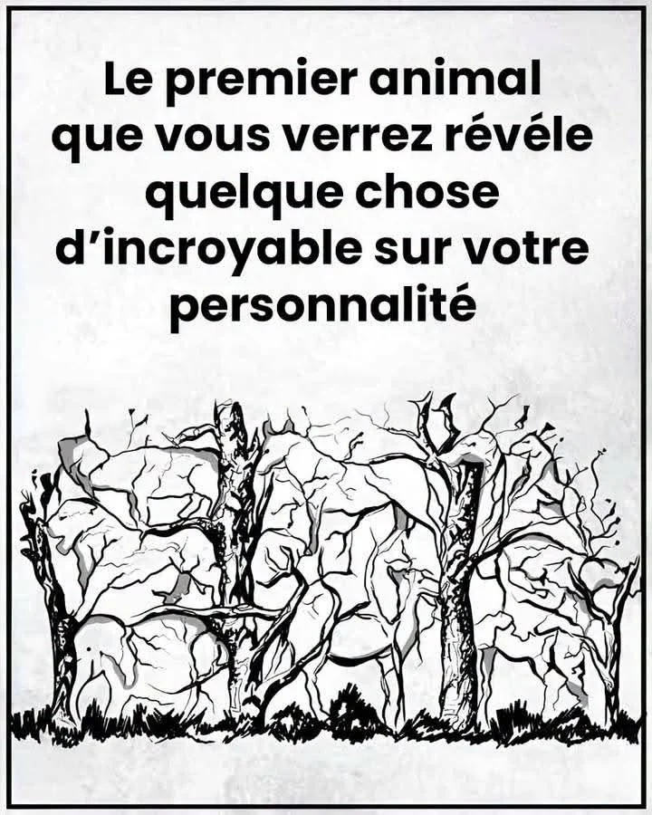 Test d'image: sept animaux, sept traits de caractère associés cover