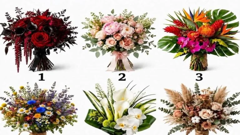 test-du-bouquet-ce-que-chacun-des-six-choix-est-ce cover